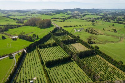 /international/nz/908a-te-ahu-ahu-road-waimate-north-kerikeri-far-north-380066075873/