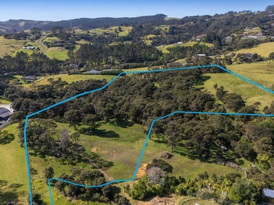 /international/nz/231-wishart-road-helensville-rodney-380066109426/