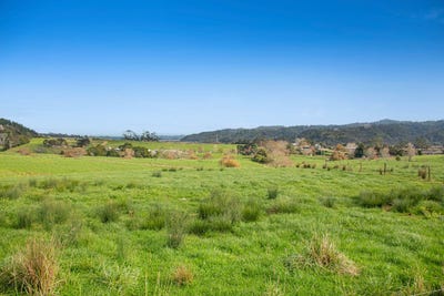 /international/nz/helensville-rodney-380066083660/
