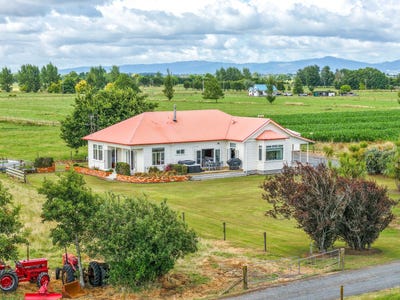 /international/nz/ngatea-hauraki-380066077799/