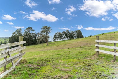 /international/nz/9-lemonwood-rise-mangapai-and-surrounds-whangarei-380066089958/