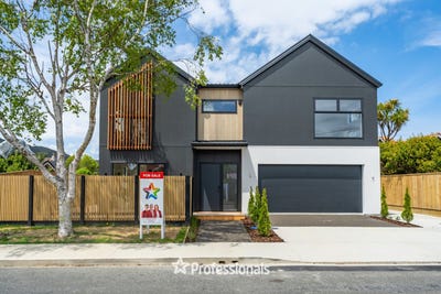 /international/nz/woburn-lower-hutt-city-380066093517/