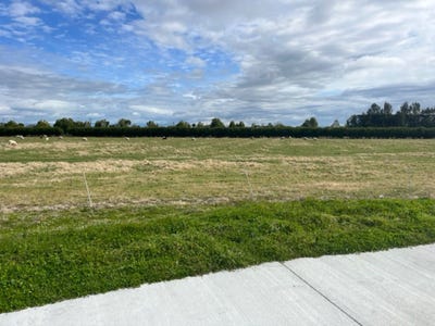 /international/nz/longlands-hastings-380066143747/