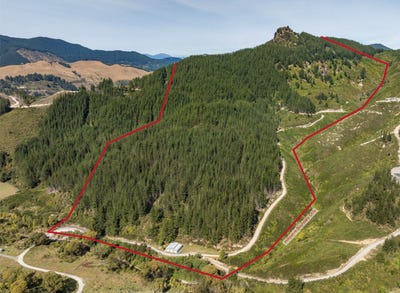 /international/nz/297-graham-valley-road-ngatimoti-tasman-380066084896/