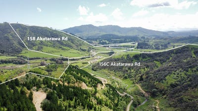 /international/nz/waikanae-kapiti-coast-380066091659/