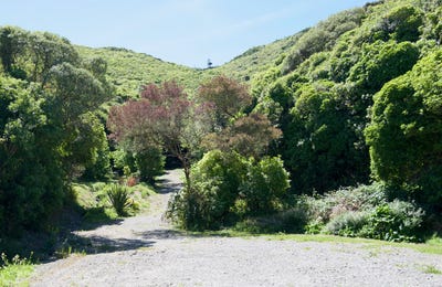 /international/nz/184-glanmire-road-newlands-wellington-city-380066101159/