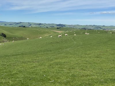 /international/nz/1129-tuapeka-west-road-lawrence-clutha-380066078643/