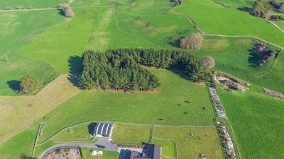 /international/nz/putaruru-south-waikato-380066103988/