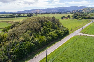 /international/nz/71-hautere-cross-road-te-horo-kapiti-coast-380066079631/