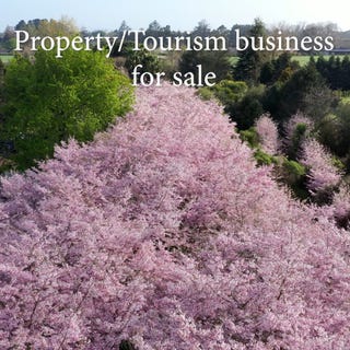 /international/nz/125-matangi-road-tamahere-waikato-380066143872/