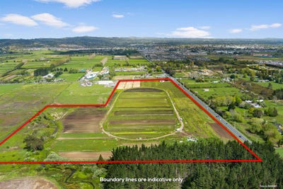 /international/nz/takanini-papakura-380066078805/