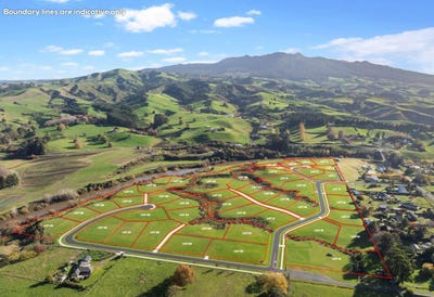 /international/nz/pirongia-waipa-380066115337/