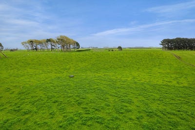 /international/nz/0n-turangi-road-upper-waitara-new-plymouth-380066079900/