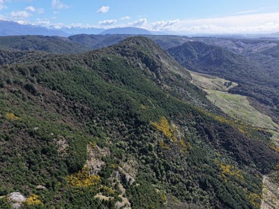 /international/nz/manapouri-southland-380066081966/