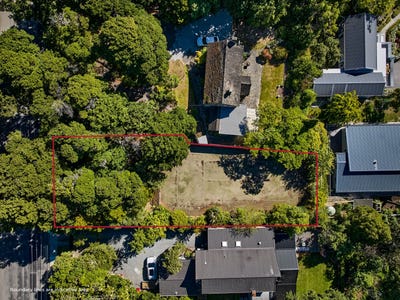 /international/nz/silverstream-upper-hutt-city-380066094757/