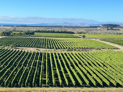 /international/nz/seddon-marlborough-380066082301/