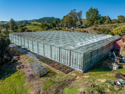 /international/nz/100-highway-22-pukekawa-franklin-380066078489/