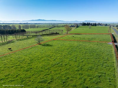/international/nz/morrinsville-matamata-piako-380066083358/
