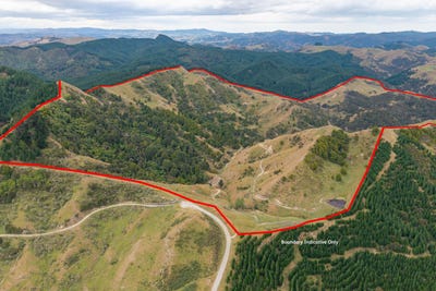 /international/nz/310-branscombe-road-pongaroa-tararua-380066079701/