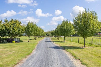 /international/nz/gordonton-waikato-380066083937/
