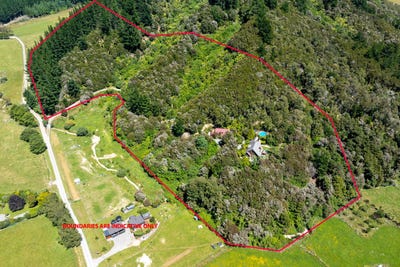 /international/nz/56-camerons-road-havelock-marlborough-380066079890/