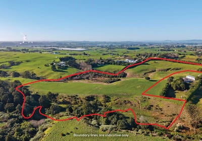 /international/nz/waiuku-franklin-380066083590/