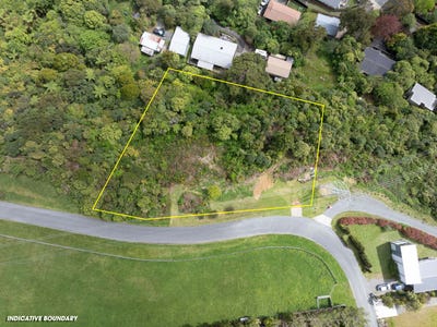 /international/nz/birchville-upper-hutt-city-380066119640/