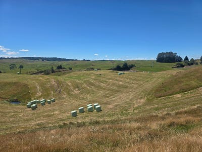 /international/nz/473-otake-road-lake-taupo-west-taupo-380066103206/