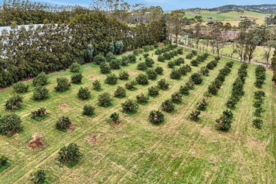 /international/nz/lot-1-69a-vineyard-lane-mangawhai-kaipara-380066179713/