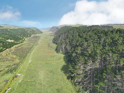 /international/nz/17-kai-iwi-lakes-road-dargaville-kaipara-380066083329/