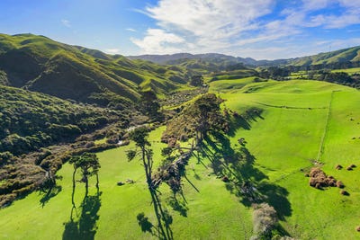 /international/nz/609-ohariu-valley-road-ohariu-wellington-city-380066169322/