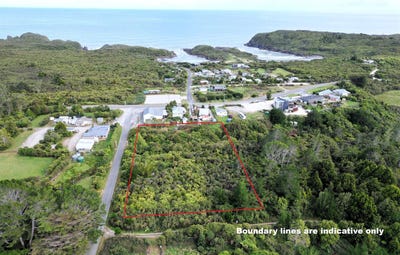 /international/nz/charleston-buller-380066174793/