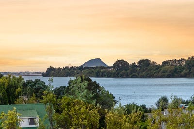 /international/nz/1-miriana-street-maungatapu-tauranga-380066099430/