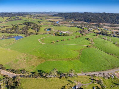 /international/nz/helensville-rodney-380066083998/