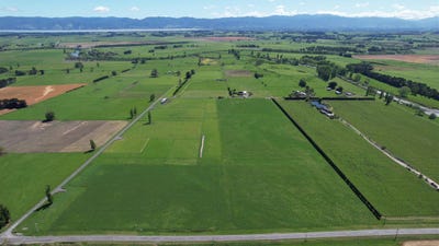 /international/nz/martinborough-south-wairarapa-380066085071/