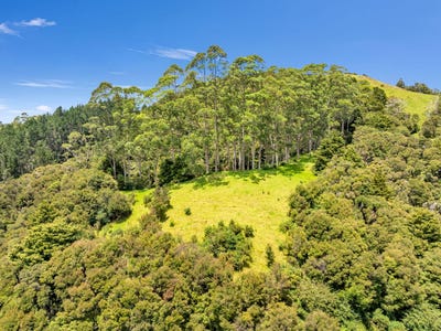 /international/nz/peria-road-peria-far-north-380066111129/