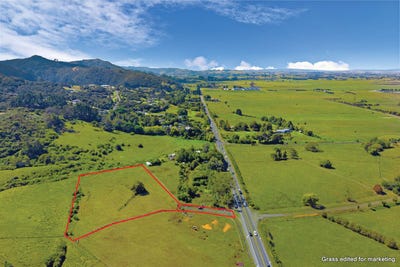 /international/nz/mangatawhiri-franklin-380066075491/