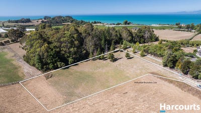 /international/nz/17-pippin-lane-mapua-tasman-380066088791/