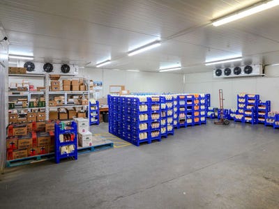 /international/nz/44-skippers-lane-kerikeri-surrounds-far-north-380066147214/