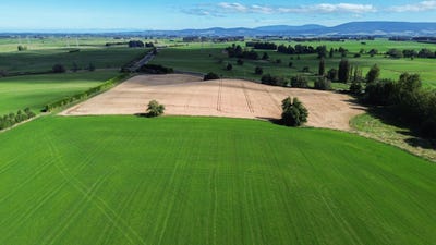 /international/nz/9-wairio-church-road-otautau-southland-380066080277/