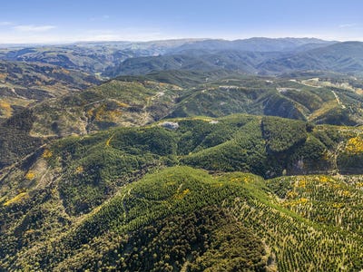 /international/nz/north-taieri-dunedin-city-380066078622/