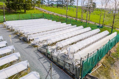 /international/nz/413-otaika-valley-road-otaika-whangarei-380066077029/