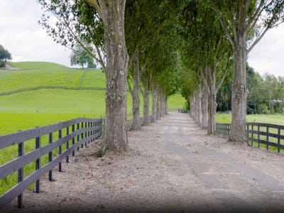 /international/nz/tirau-tararua-380066112333/
