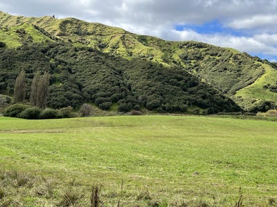 /international/nz/lot-11-632-mangaotuku-road-douglas-stratford-380066079049/