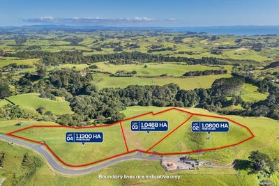 /international/nz/kirian-lane-waiuku-franklin-380066084833/