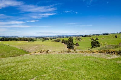 /international/nz/milton-clutha-380066102972/