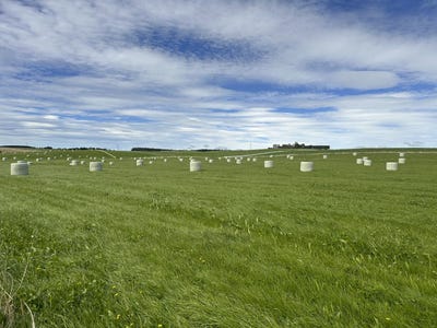 /international/nz/cross-road-winton-surrounds-southland-380066076499/