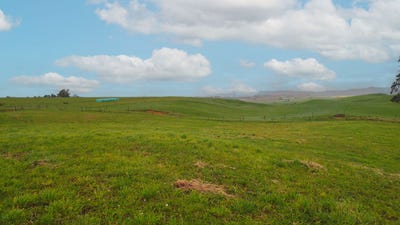 /international/nz/676-waikokowai-road-rotongaro-waikato-380066076170/