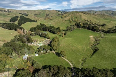 /international/nz/467-waitahora-valley-road-dannevirke-tararua-380066077434/