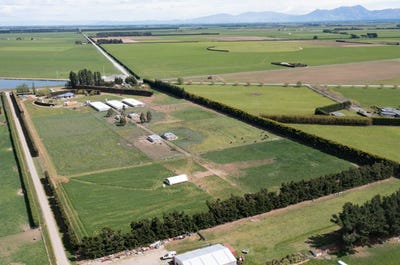 /international/nz/frasers-road-ashburton-canterbury-380066077111/